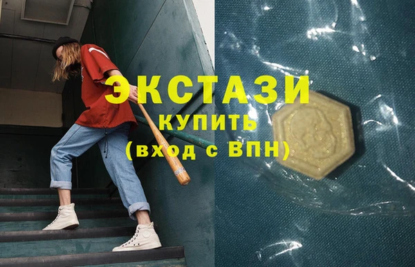 сатива Новозыбков