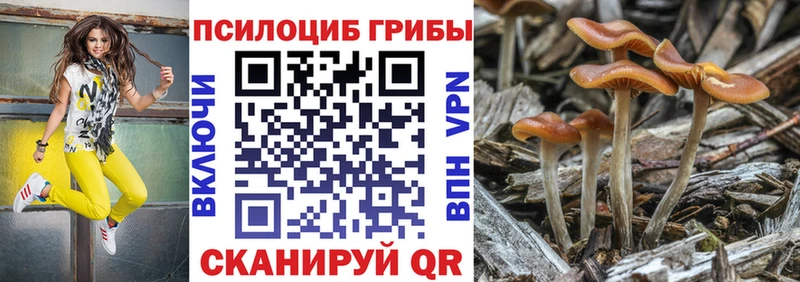 Галлюциногенные грибы Cubensis  Сельцо 